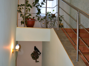 Zolotoy Ruchei Mini-hotel