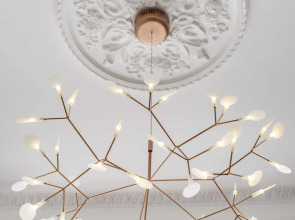 Меблированные комнаты F12