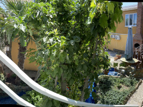 Гостевой Дом Вишневских