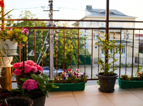 Гостевой дом Дарья+