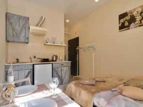 Апартаменты Светлые на Ижорской