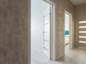 Квартира на пр. Красный 222/2