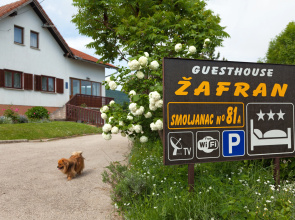 Zafran Guest House