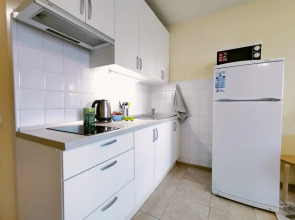 Апартаменты с Балконом Lesnaya