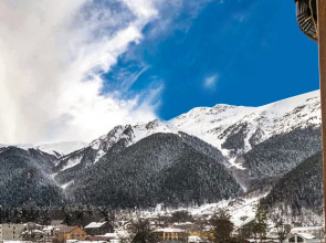 Гостевой дом Hayat Haus