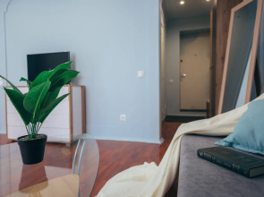 Апартаменты Уютная квартира возле Кёнигсбергского Зоопарка