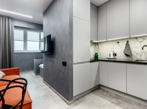 Квартира Бизнес-класса на Мечникова