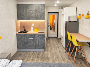 Апартаменты Жёлтая студия у метро Суконная слобода