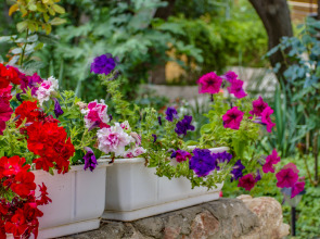 Гостевой Дом Рейд