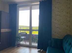 Квартира в Курортном Светлогорске-2