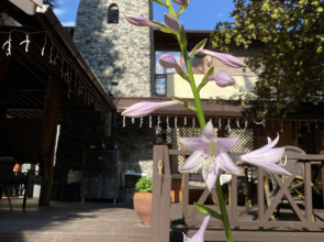 Гостинично-Ресторанный комплекс Ветерок