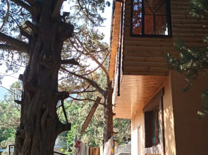 Mozhzhevelovyij Dom Guest House