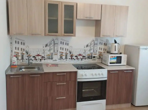 Квартира на Подзолкова 3И