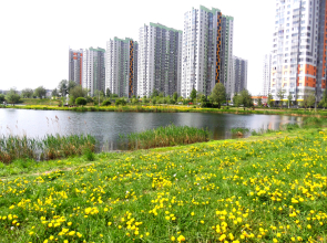 Квартира рядом с Озерами и Парками в Новом ЖК София