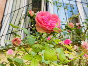 Квартира Welcome