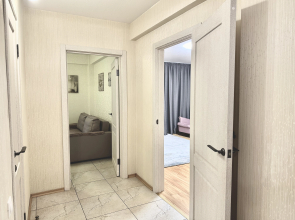 Апартаменты Родионова 197