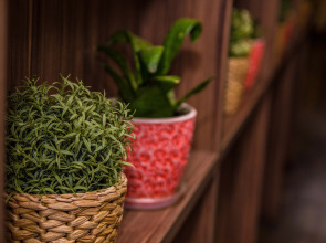 Отель Ситара