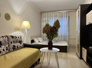 Rayon Ledovogo Dvortsa Flat
