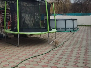 Меблированные комнаты Николь