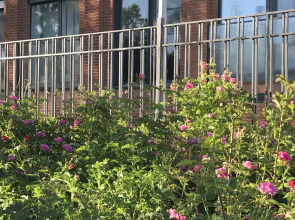 Квартира на берегу Финского залива