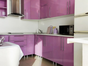 Квартира Двухкомнатная BaileVida rent на Гвардейском