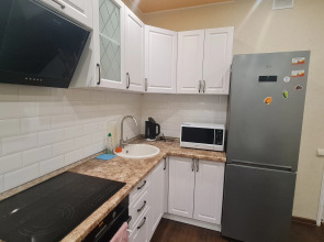 Апартаменты на Проспекте Красной Армии 251а