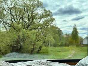 База отдыха Лес и Луга