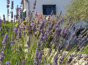 Rustic Villa Miketa
