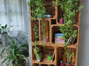 Отель Дружба