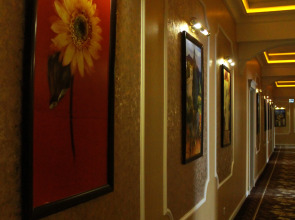 Отель Ковчег