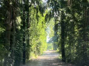 Частный дом SkandyVillage