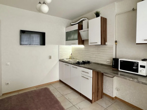 Апартаменты Родионова 197