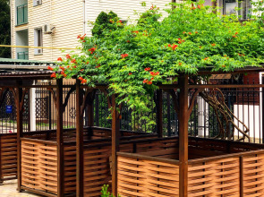 Гостевой Дом Роза Ветров