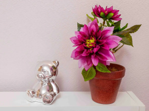 Апартаменты Уютная у стадиона на 1 этаже