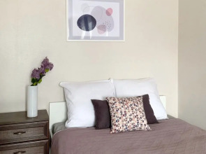 Апартаменты Добрые Сутки на Шейнкмана 45