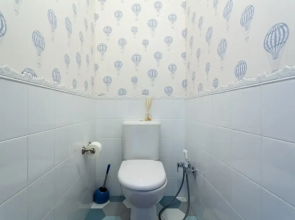 Апартаменты Улучшенные с Видом на Реку