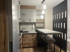 Евро-апартаменты Vetka Home на Мясниковой