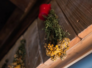 Апартаменты Удивительное Рядом 1