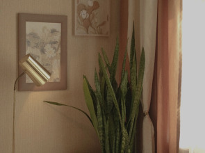 Квартира Старинный Дом с Двориком в Центре