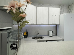 Квартира Питер