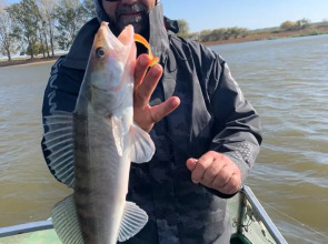 База отдыха Замок