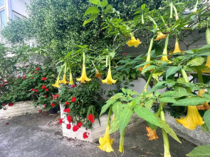 Гостевой дом Лазурный