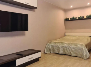 V Tsentre Goroda Flat