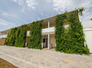 Aura Guest House