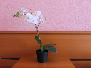 Мини-Отель В центре