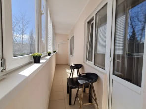 Апартаменты VIP квартиры на Московской by Sutki26 4