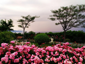 Отель Пальмира Палас