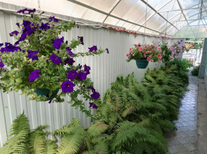 Гостевой дом Спасс