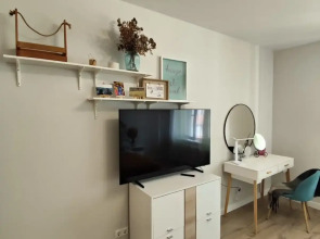 Квартира на пр Просвещения