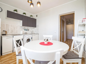 Апартаменты двухкомнатные c видом на Волгу на Волжской набережной  25, м.Cтрелка. Сова-Дом